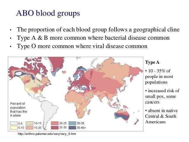 ABO Blood Types Why so much