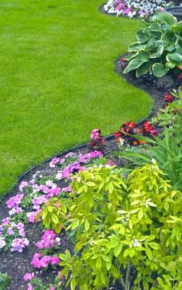 Zone 1 HOME / YARD - 10 metres A FireSmart yard includes making smart choices for your plants, shrubs, grass and mulch.