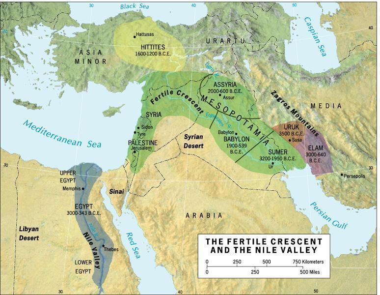 The Fertile Crescent Where the planned cultivation of seed crops began.