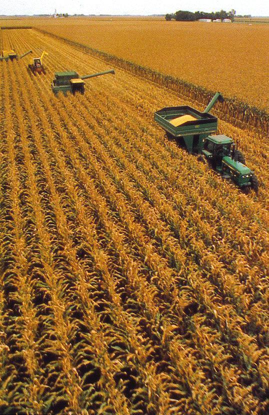 The Persistence of Agriculture The US only has 2 million farmers, less than 2% of population Mechanization and farm consolidation have forced out many small scale