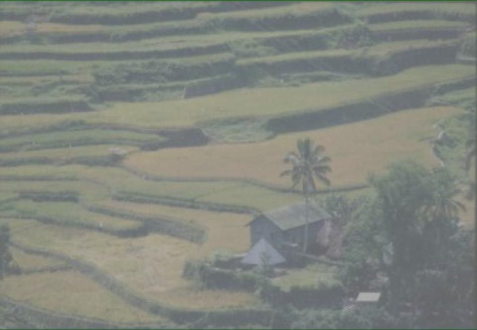Green Revolution Plusses: Countries self-sufficient in rice or even exporters (Thai, Viet).