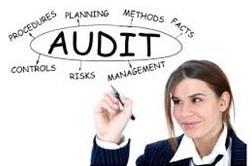 Audit Emphasis Accounting and Auditing for Government Contractors (1) internal control systems & management policies, (2) accuracy and reasonableness of cost representations, (3) adequacy and