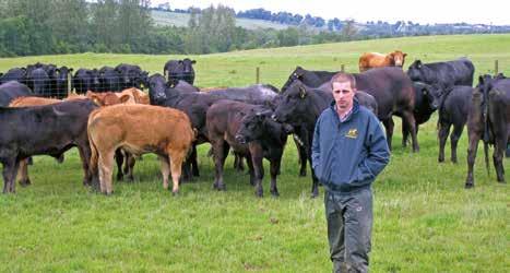 Case study 3 Reviewing suckler herd fertility James and John Thomson, Hilton of Beath, Fife James and John Thomson run 175 spring-calving and 100 backend-calving cows on their 1,450 acre beef and