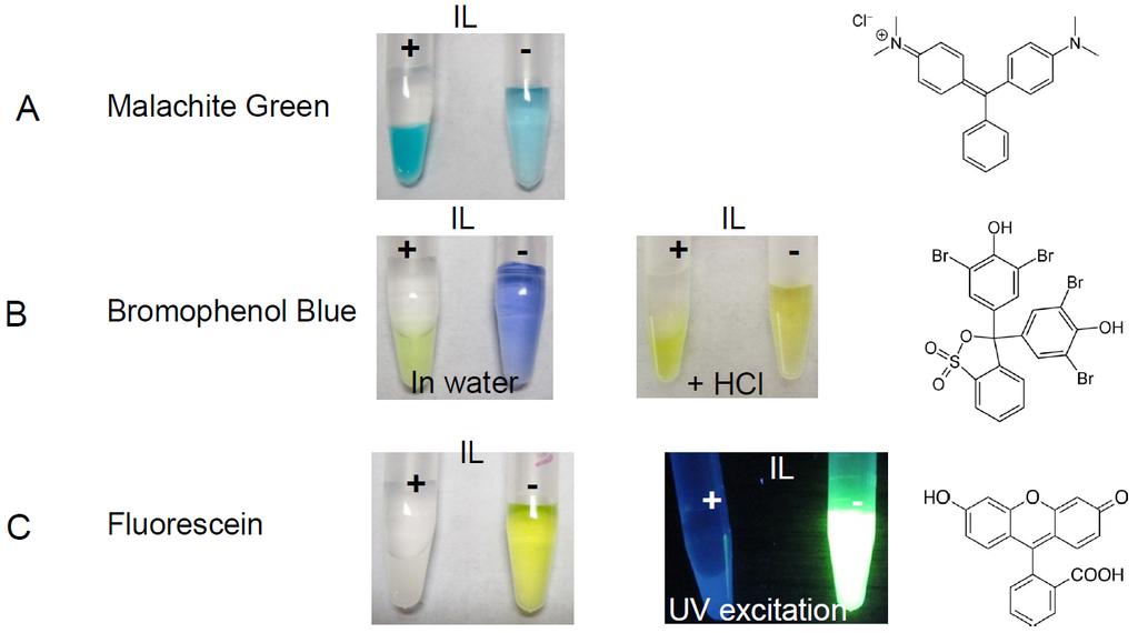2. ADDITIONAL RESULTS AND DISCUSSION Extraction of other dyes. In the main paper we reported that a few cationic DNA staining dyes were extracted into the IL phase.