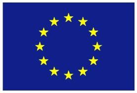 The HoA-REC&N-EU Energy Project Integrated Approach to Meet Rural Household Energy Needs of Ethiopia ACP-EU Energy Facility 10 th European Development Fund Total eligible cost of the action [EUR]