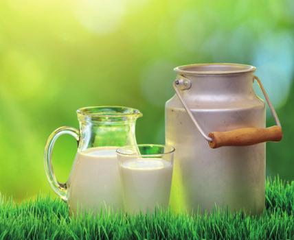 SECURING FRESH MILK SUPPLIES Liquid Milk Handbook Why we need specialist liquid milk