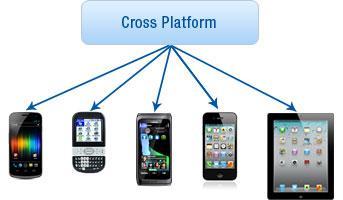 5 A Platform Specific Platform application focuses only on a single platform such as Apple ipads only.