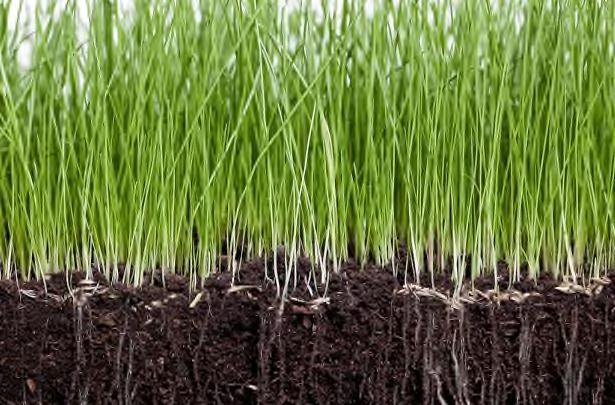 Lenzing fibers are completely biodegradable in soil