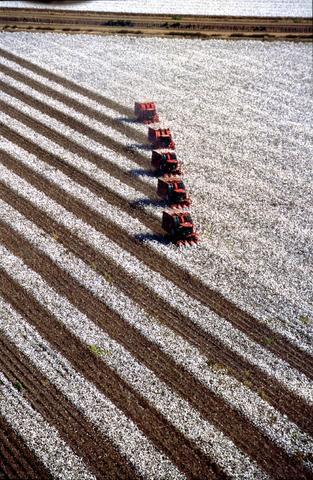 Cotton: The Bad Cotton is one of the most water- and pesticide-intensive crops in the world Cotton crops in the USA occupy 1% of the country s farmland but use 50% of all pesticides