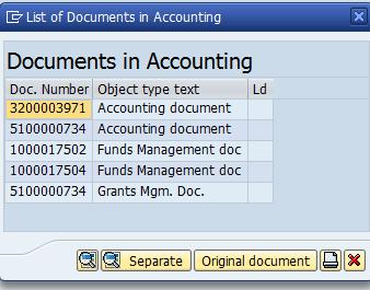 To view these documents, first open the Invoice using the Display Document (T-Code FB03) Transaction.