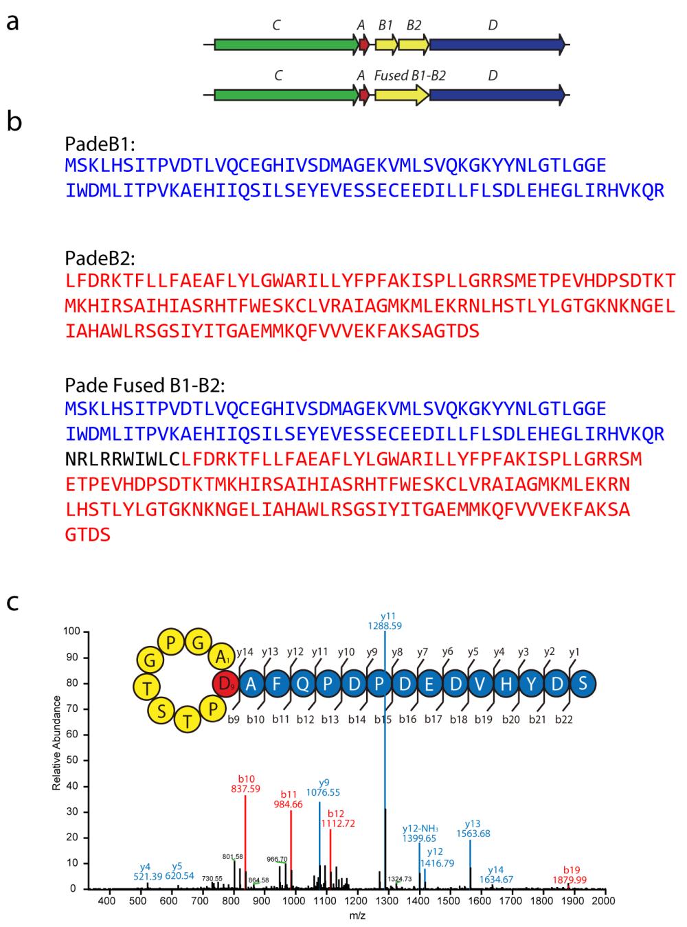 Supplementary Table S5. Primers for Gibson assembly of the cna1 gene into pet-48b(+). Overhang regions are underlined.