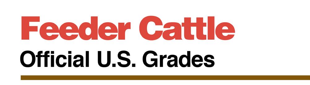 Feeder calf grading improves the industry s ability to better group cattle into more uniform groups for more efficient feeding and management.