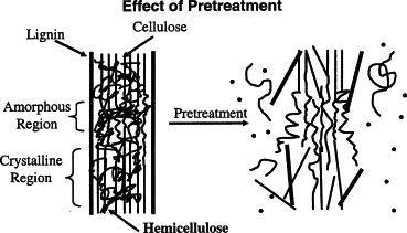 Figure 1-3 The ultimate goal of pretreatment methods is to break LCB down from the recalcitrant structure to its individual components of lignin, cellulose, and hemicellulose.