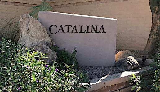 Introduction Catalina is a 111 lot, single-family home community by Costain Arizona, Inc.