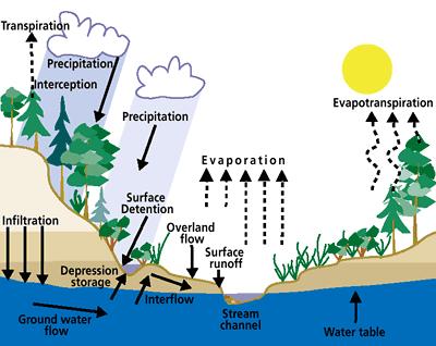 Hydrological modelling in a nutshell