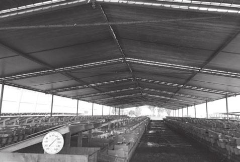 SOLUTIONS Customer Care & Service Over 7000 Satisfied Customers References Available upon Request Cattle Shade Cattle, Horses & Livestock Screened Roof Structures Allow Ventilation While Reducing