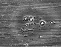 SEM observation, after one hours in these test conditions, shows the presence of a layer of corrosion products and several corrosion craters around the precipitates.