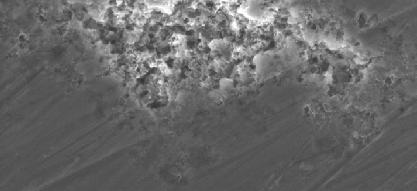 or by the corresponding intermetallic compounds (Fig. 6). Thus small open pits are observed on this alloy surface.