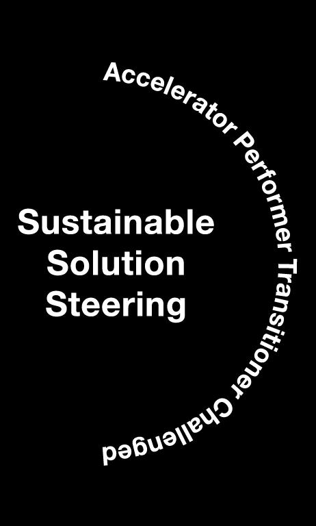 We implement active sustainable portfolio steering 27,3% Accelerator: