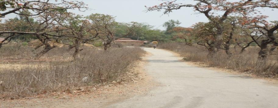 Maintenance and repair has been stopped since July 2011 by the company. VILLAGE ROAD CONSTRUCTION To connect all adopted villages to the main arteries.