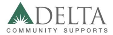 Chief Operating Officer Pennsylvania and New Jersey Delta Community Supports, Inc. is seeking a Chief Operating Officer who will oversee all programs and operations in Pennsylvania and New Jersey.