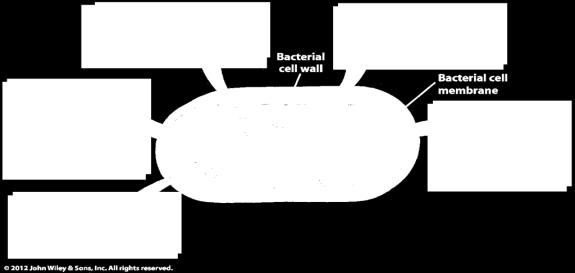 bacteriostatic; bacteriocidal Osmotic Control: high conc.