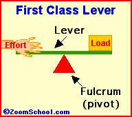 First Class Lever The fulcrum is located between the effort force and the load force Use this type of lever to change the direction and size