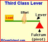 Third Class Lever The effort force is located between the load force and the fulcrum Use this type of lever to reduce the distance over which you apply the effort force