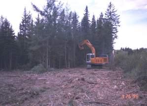 habitat) Forested- trees >25 maintain clearing of 0.