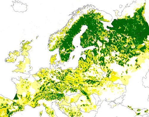 Location of BIPHOREP sites in the Boreal Forest zone Pallas, 68 N Uppsala, 60 N Percentage coniferous forest per grid cell 0 0-5 5-25 25-50 50-75 75-95 > 95 Mekrijärvi, 63 N Utö, 60 N Map from: Posch
