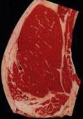 Figure 2: USDA Photographic Standard for Low Choice Marbling External Fat Ribeye cross section evaluated for intramuscular fat post harvest Cattle buyers that are looking at 500 lb.