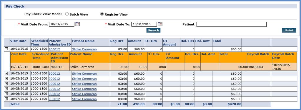 A few of the fields visible in this summary include: Visit Date Patient Name, Pay Code, and Pay Rate.
