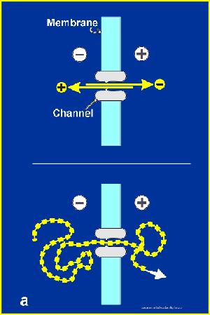 Nanopore Ion current Messwert Strom