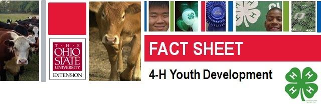 Body Condition Scoring of Beef Cattle for Youth Producers What It Is and How to Use It Contributing Authors: Sherry Nickles and Vicki Reed Extension Educators, Ohio State University Extension