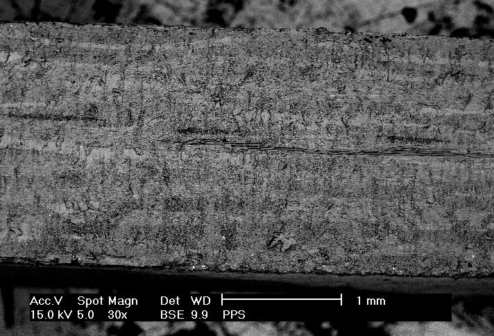 Fig. 3: Scanning electron microscopic image of the cross section of the carbon-fibre reinforced PPS Fig.