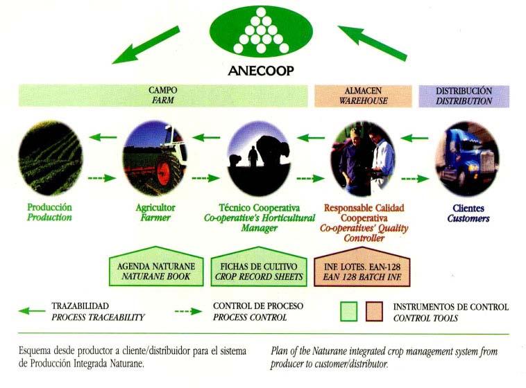 ANECOOP Leaders in traceability of fresh fruit The noteworthy evolution of Anecoop, a key player in the area of fresh produce traceability throughout the supply chain.