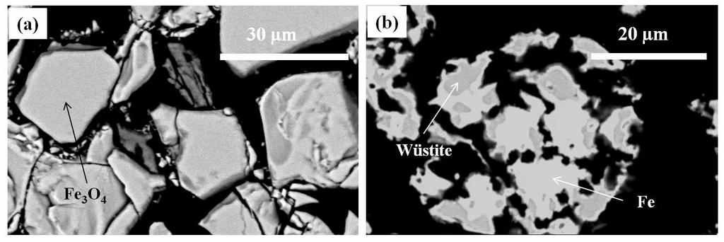 SEM cross-section morphologies (a) initial magnetite ore and (b) reduced ore
