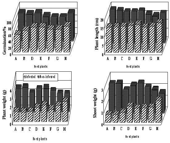 PATHOGENCITY OF SCLEROTIUM ROLFSII ON DIFFERENT CROPS 177 Fig. 1. Effect of Sclerotium rolfsii on growth of different test plants.