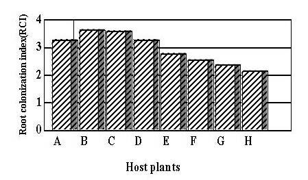 Root colonization index (RCI) Fig. 2.