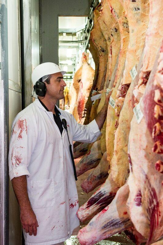 Case study: How the processing industry generates value Red meat processing is not just about meat.