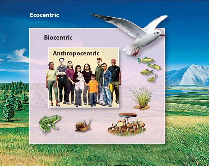 Lesson 1.3 The Community of Science Environmental Ethics Environmental ethics is the application of ethical standards to the relationship between humans and the environment.