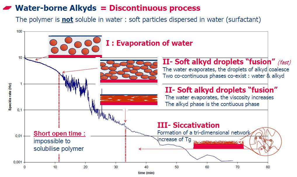 Alkyd Technology, Film Formation Diffusion Wave