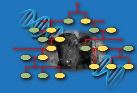 Why DNA is Important Cattle Associations use Scidera s DNA Services to 1.
