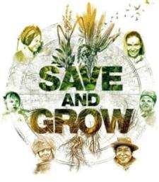 Conservation Agriculture Sustainable Crop Production