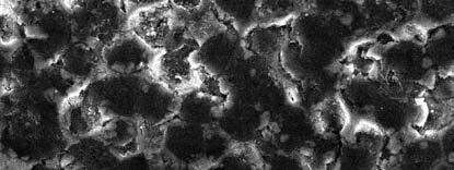 Development of New Composites; Ceramic Bonded Carbon SiC Graphite SiC 5 μm Fig. 6 A SEM image for the fractured surface of a SiC/CBC compact. Fig. 7 A SEM image for the polished surface of Si 3 N 4 /CBC compact.