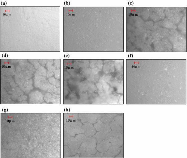 Crack Crack Figure 4.6. Optical micrographs of silicone rubber samples before and after exposure to ADT solution at 80 and 60 C.