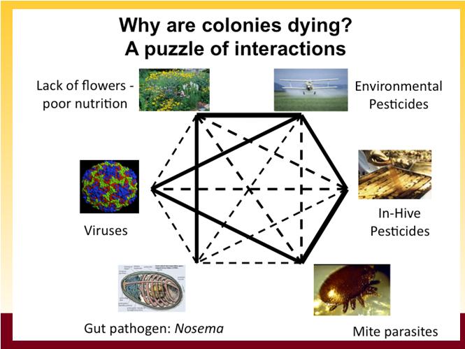com/locate/scitotenv 3 Threats to honeybees Diseases & parasites