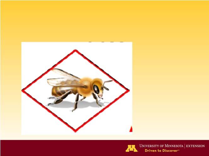 restrictions on the label in: DIRECTIONS FOR USE These prohibit certain pesticide use when bees are present 1.
