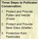 POLLINATOR CONSERVATION ON FARMS AND ORCHARDS CRITICAL REQUIREMENTS OF NATIVE BEES Food- Bees eat only pollen and nectar.