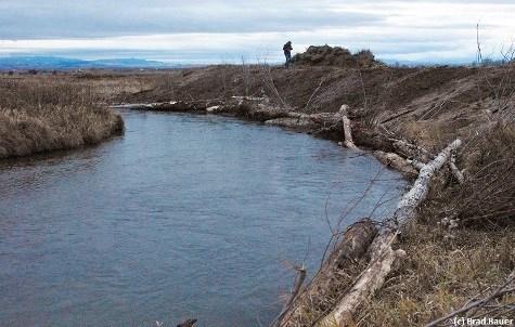 Understanding your stream in both high and low flows is very important to the ultimate success of streambank bioengineering.